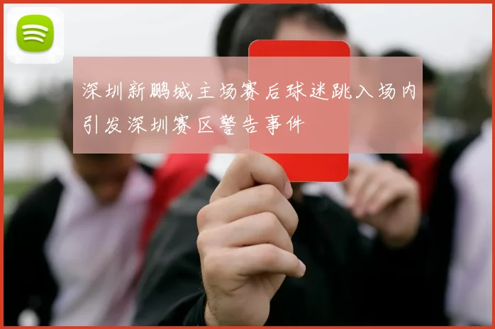 深圳新鹏城主场赛后球迷跳入场内引发深圳赛区警告事件